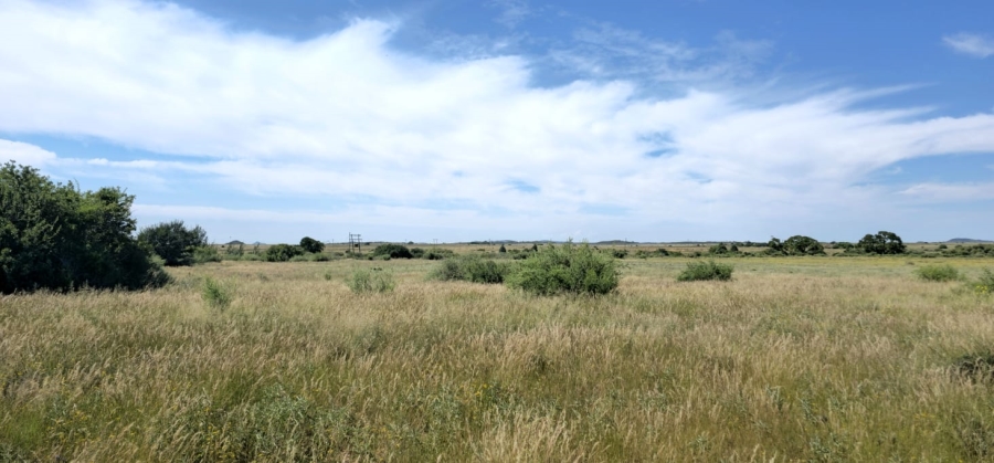 Commercial Property for Sale in Mangaung Free State